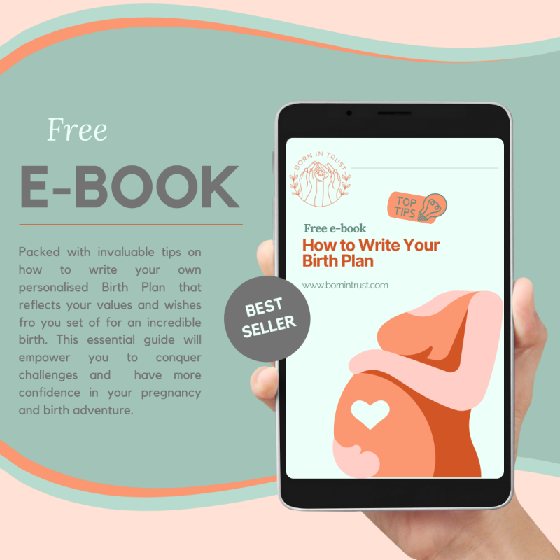 Photo of free e-book on hiow to write your birth plan
