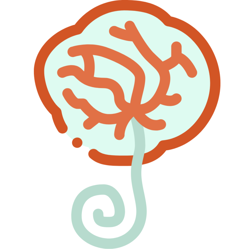 Placenta colours born in trust