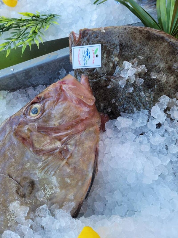 Arrivage de la semaine