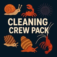 Cleaning Crew S M L