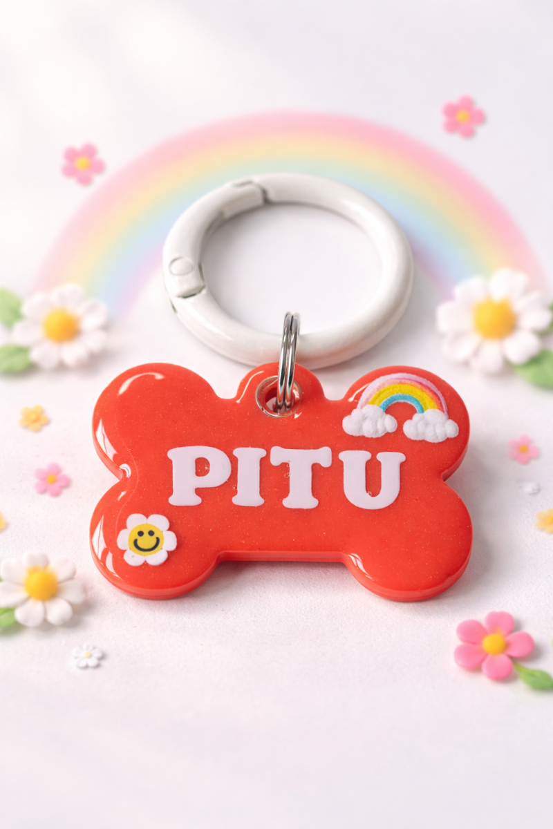 file_00000000494872438f7f6d6be82802a6-standard-78q94l.png