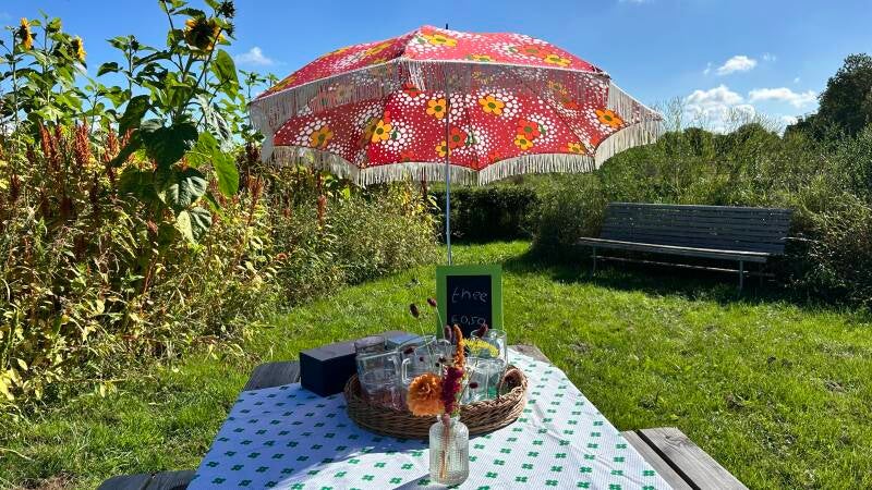 Plukmiddag vrijdag 10 juli van 13.30 tot 16.30 uur