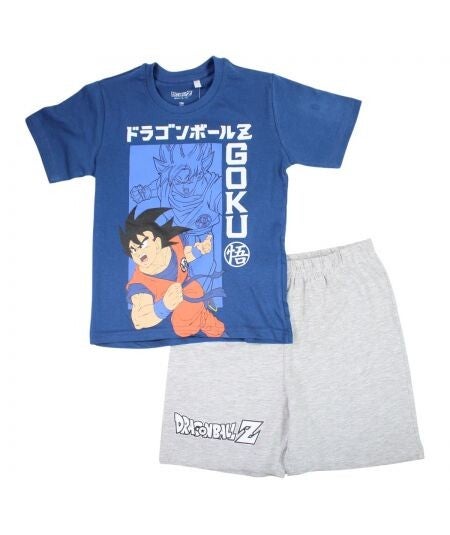 Ensemble Dragon Ball Z