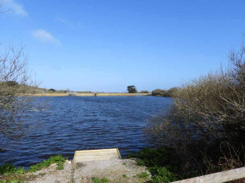 Bussow from the south ... a Coot's paradise!