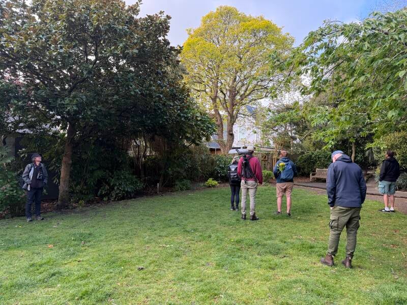 The twitch for the Pallas's Warbler in St Ives