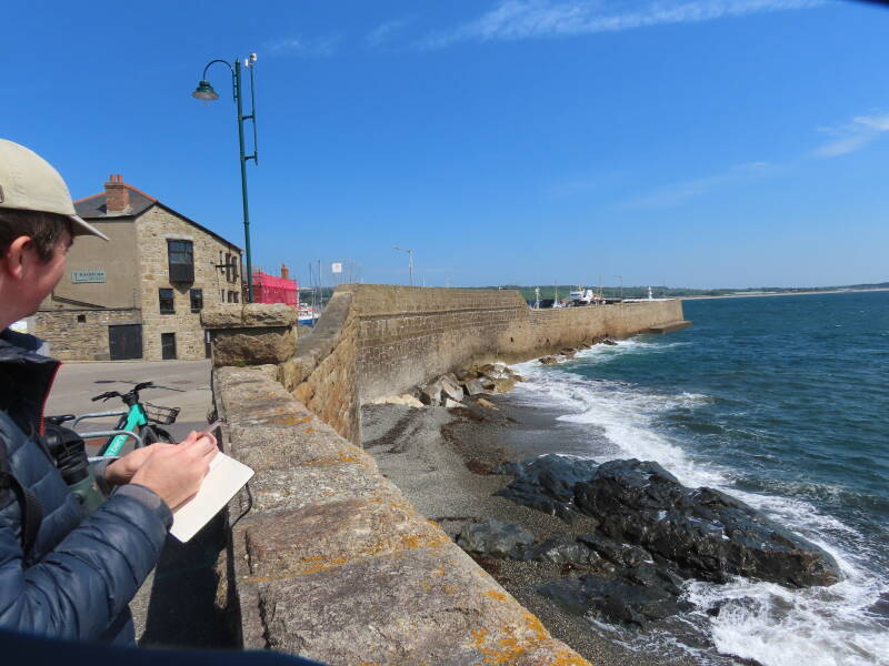 Liam - data scientist - doing what data scientists do.  "Is that 41 or 42 Purple Sandpipers at Jubilee Rocks