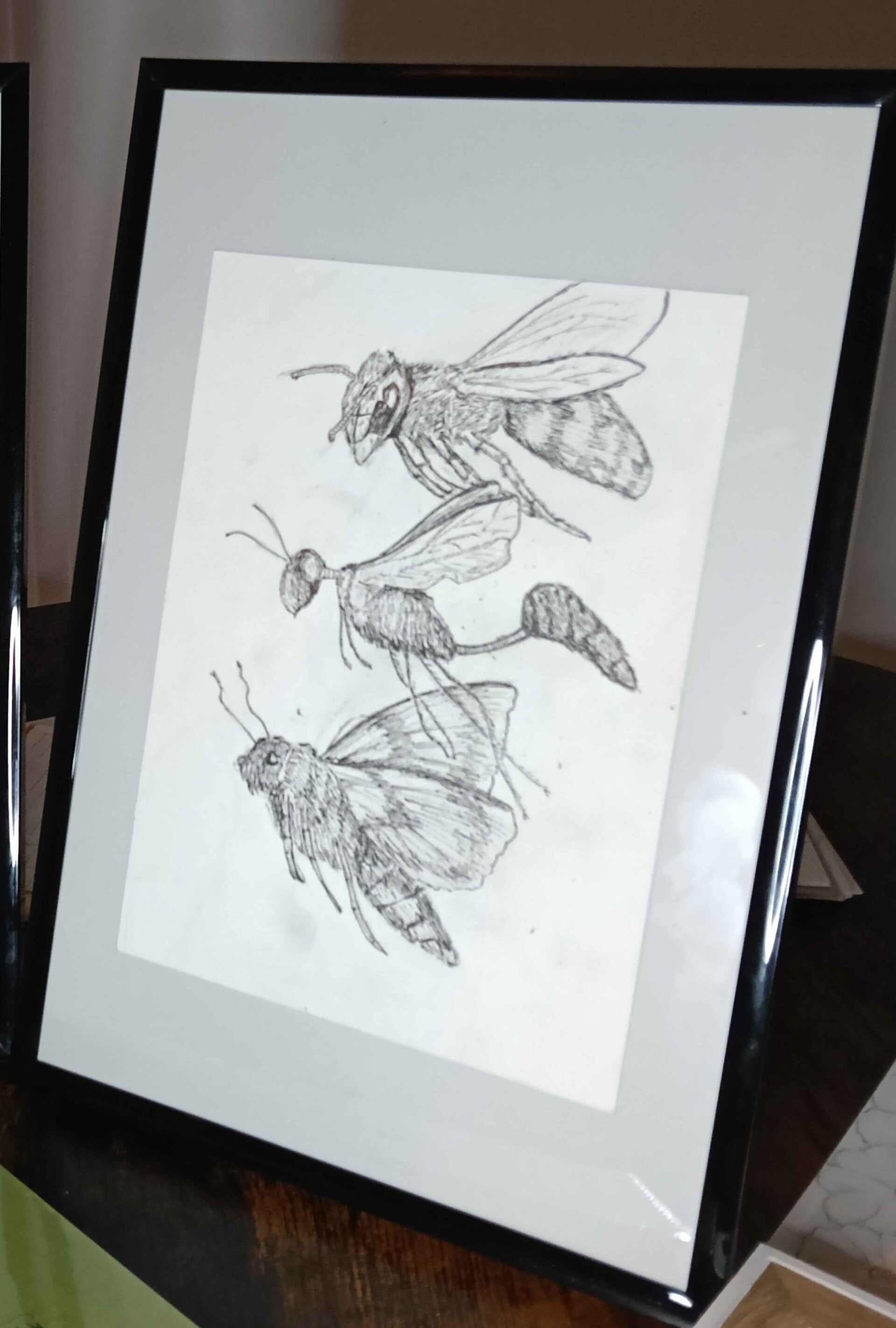 Insect trio