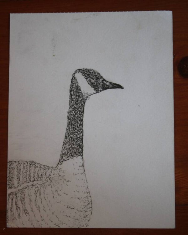 De trotse gans