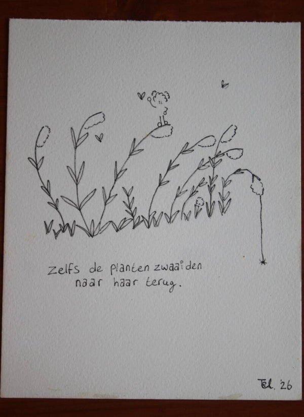 De planten zwaaiden terug