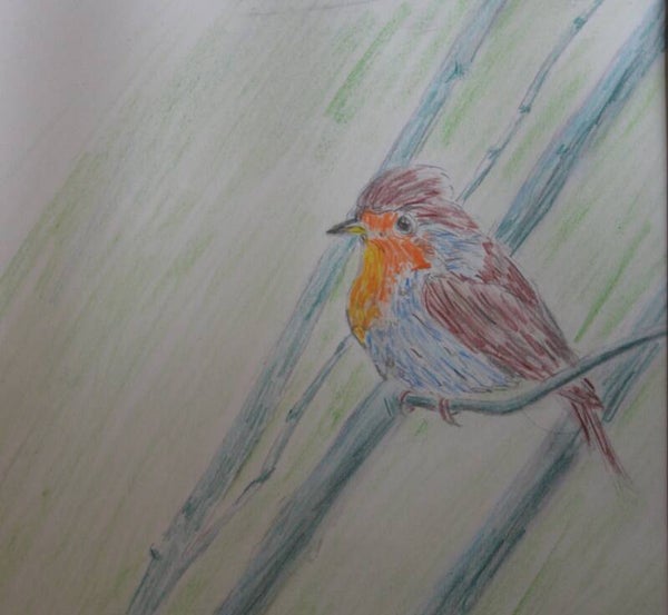 Roodborst