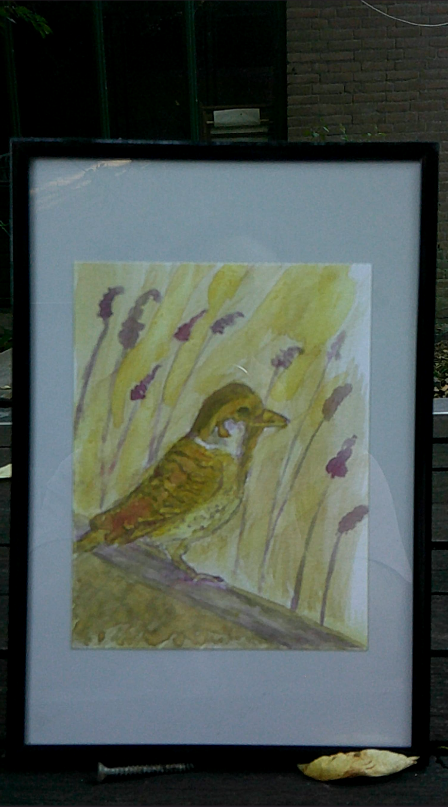 De Sierlijke Plantvogel