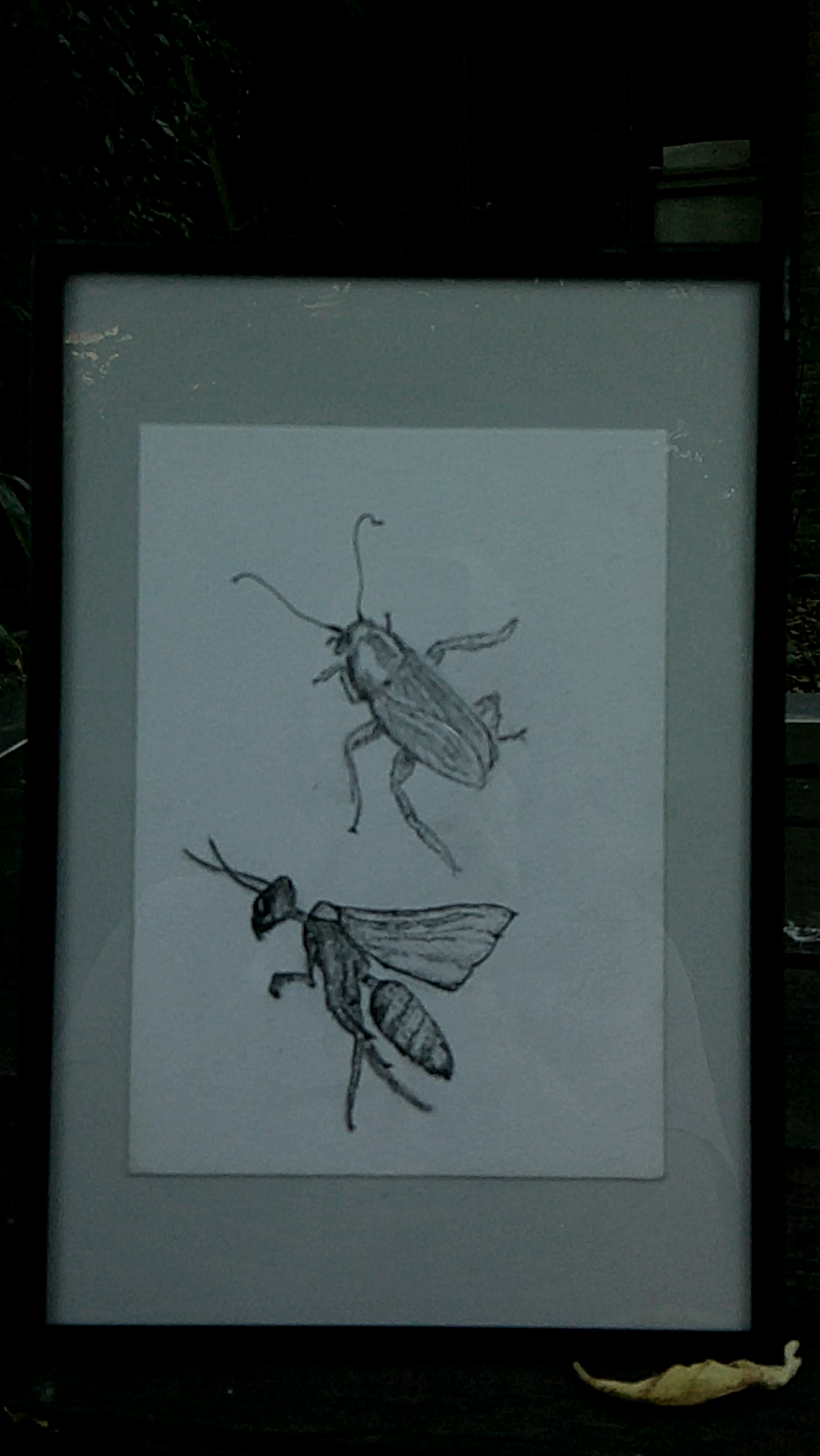 Insecten duo