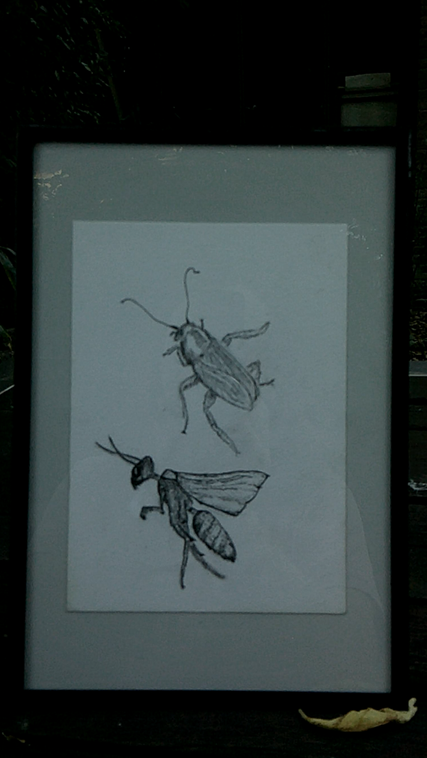 Insecten duo
