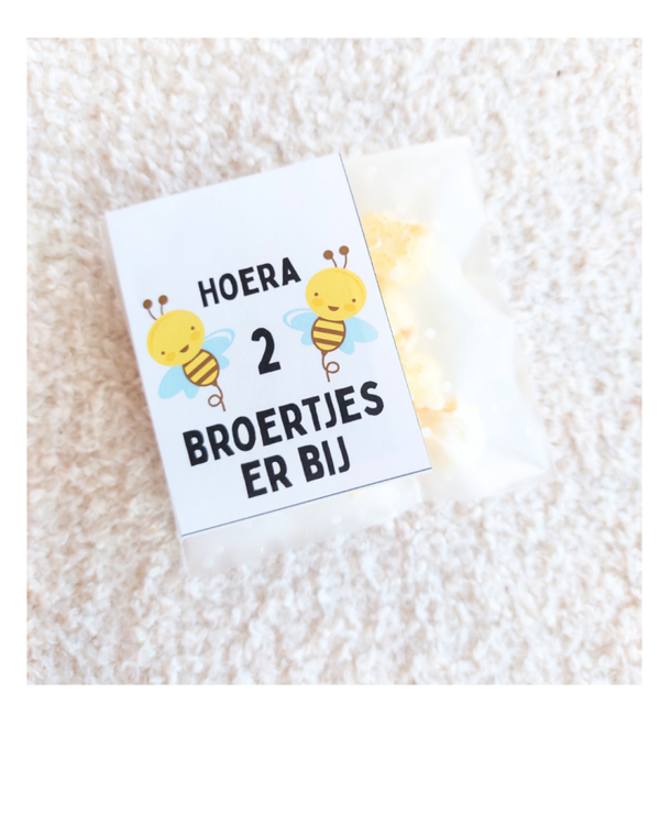 TWEELING Hoera 2 broertjes er BIJ, label