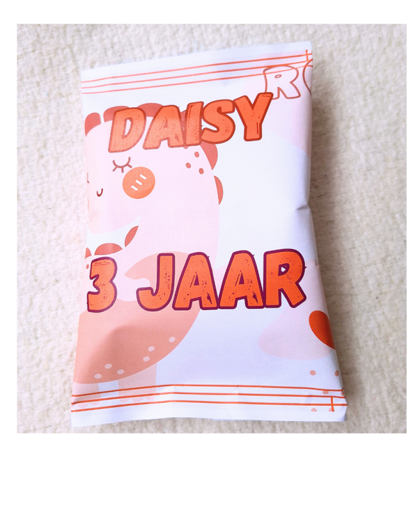 Chipszakje Dino Oranje