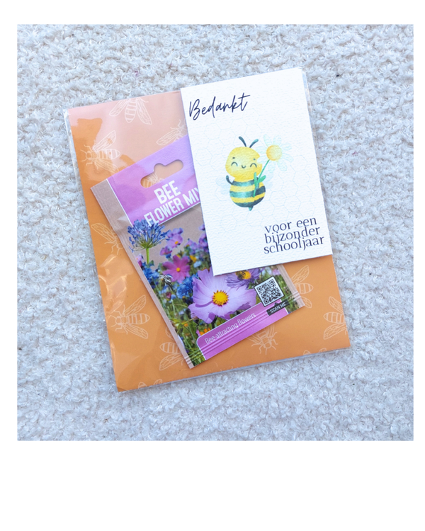 BIJzonder schooljaar