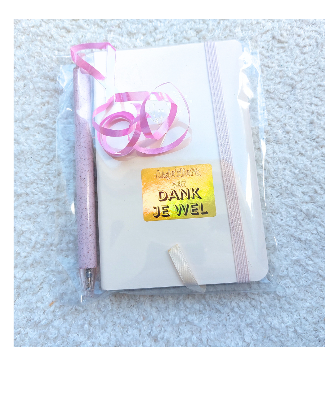 Notitieboekje met pen