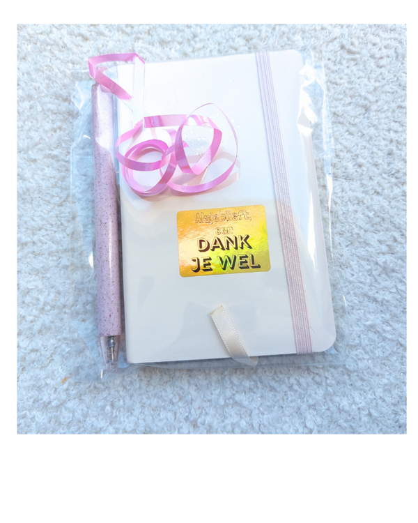 Notitieboekje met pen