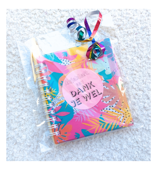 Mini notitieboekje met pen