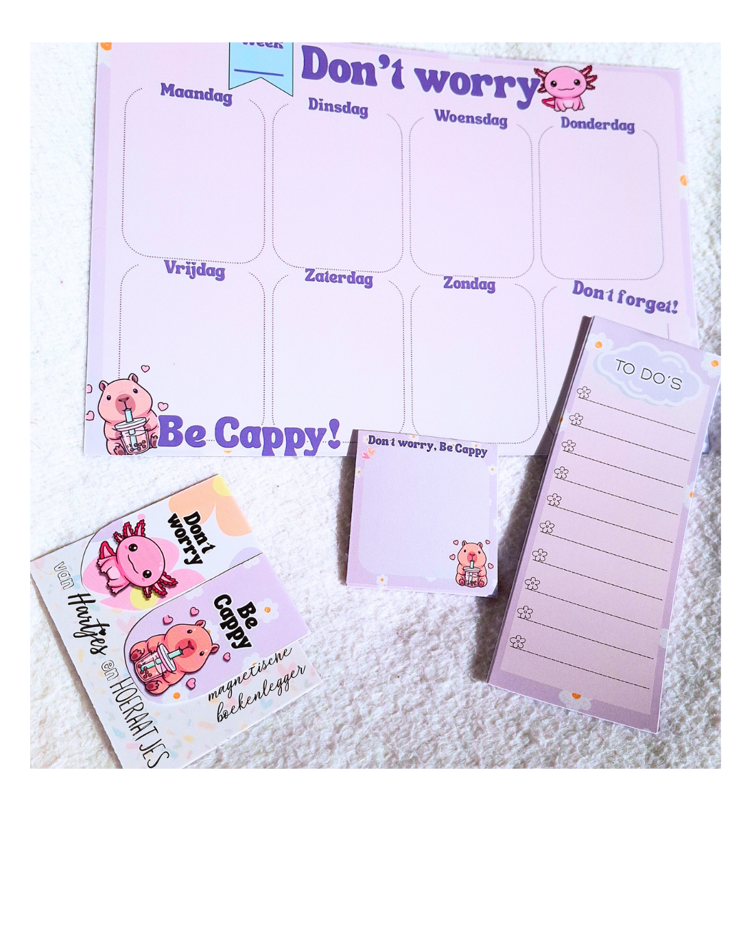 HAPPY PLANNER SET - Cappy & Axl