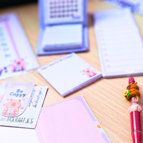 Memoblokje Cappy & Axl