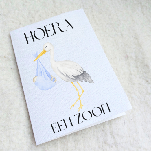 Hoera een (klein)zoon Ooievaar