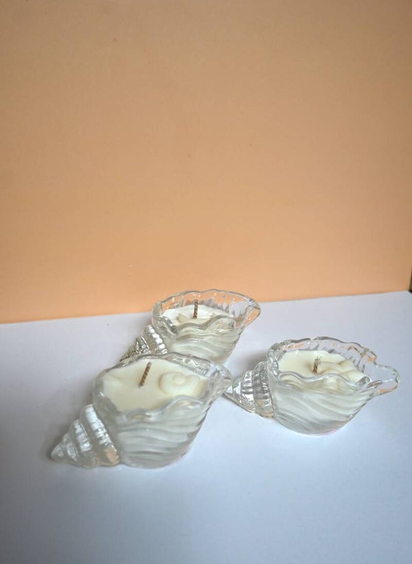 Mini Muschel