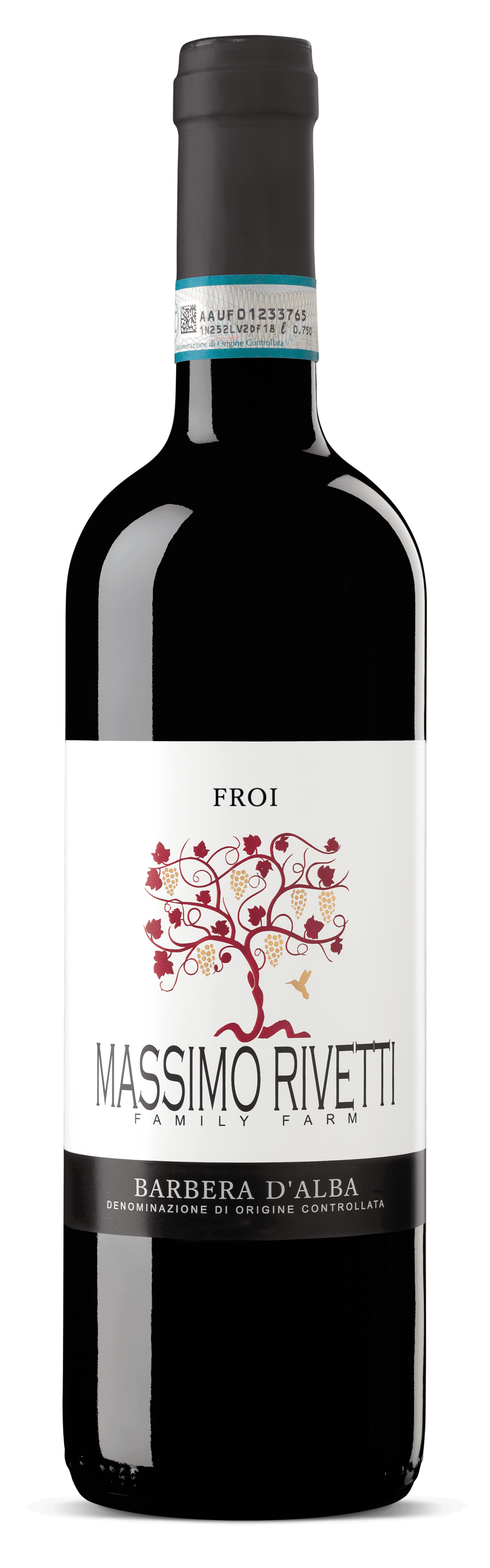 2024 Barbera D'Alba "Froi" D.O.C