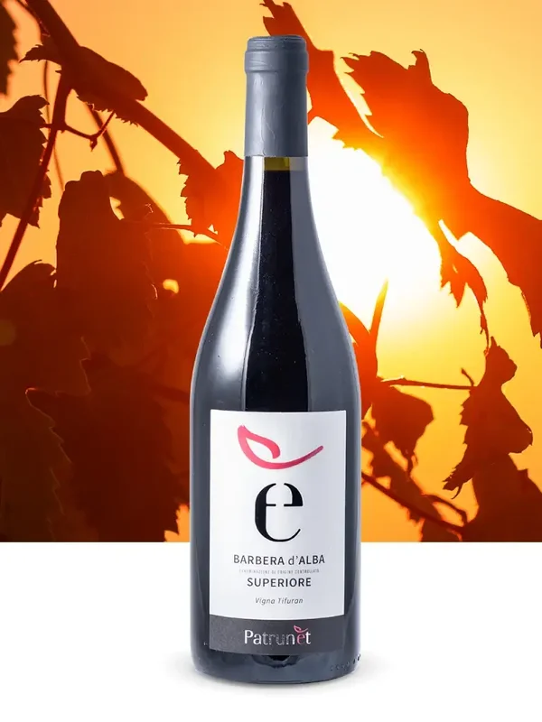 2022 Barbera Superiore D'Alba "Vigna Tuforan" D.O.C.
