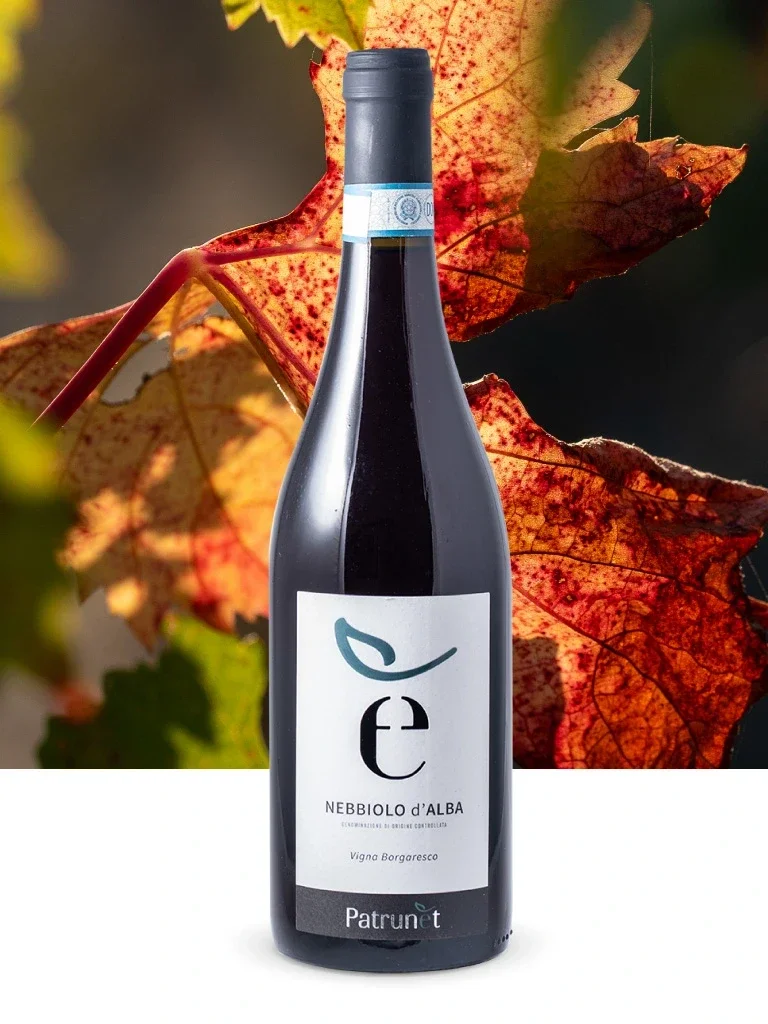 2022 Nebbiolo d’Alba "Vigna Borgarseco" D.O.C.