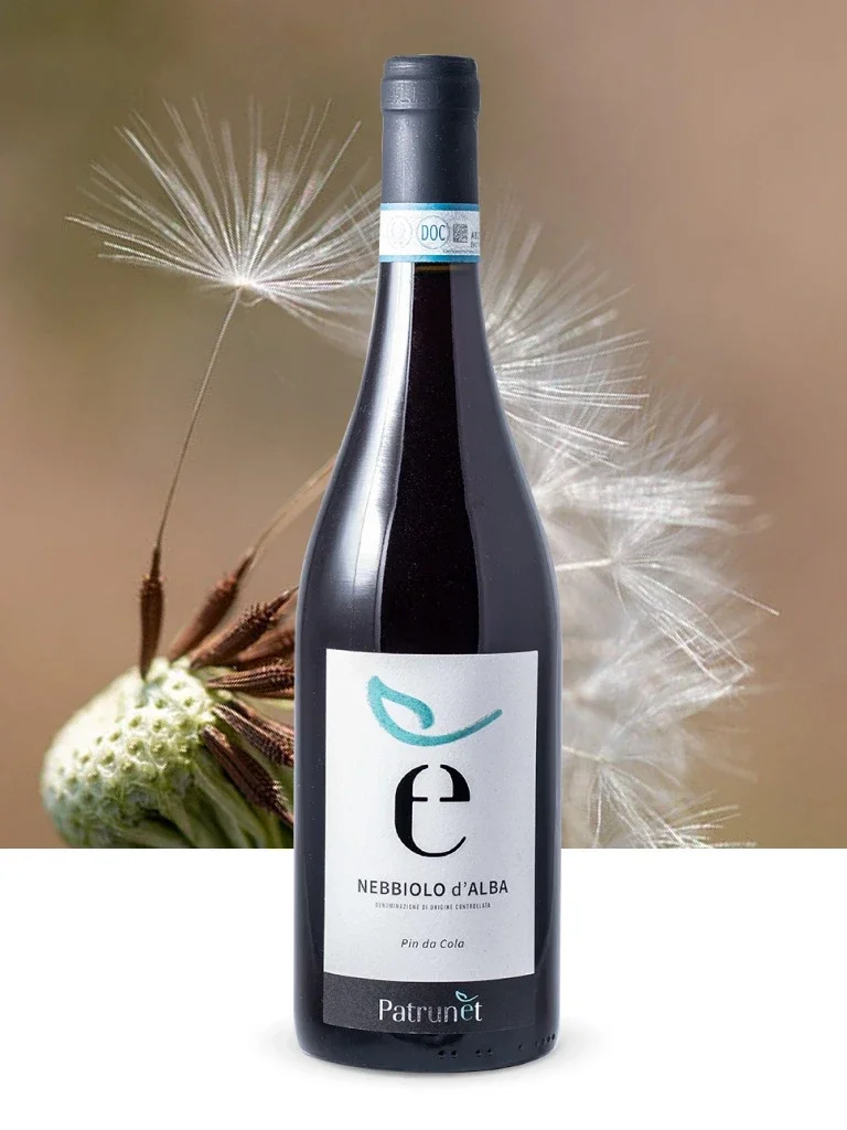 2021 Nebbiolo d’Alba "Pin da Cola" D.O.C.