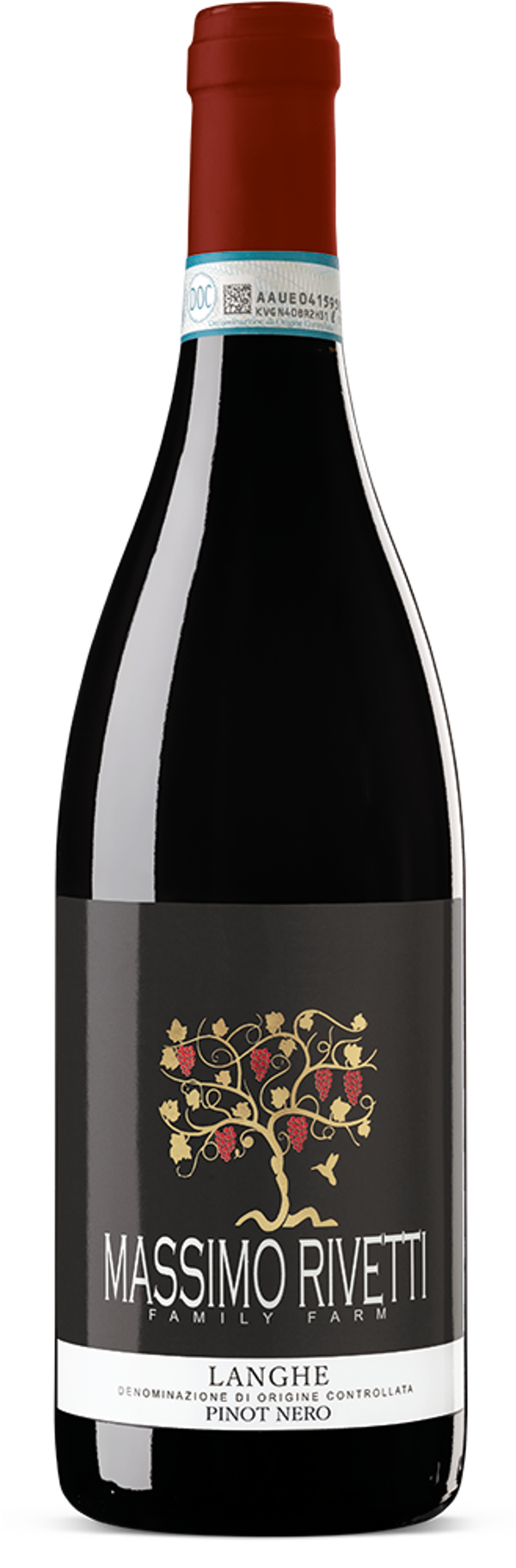 2023 Langhe Pinot Noir D.O.C