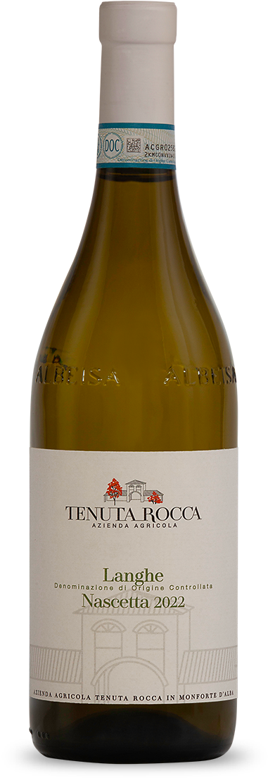 2024 Tenuta Rocca Langhe Nascetta D.O.C