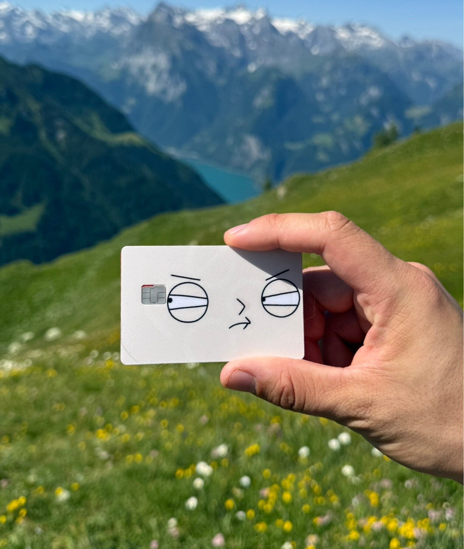 😏 „Skeptischer Blick“ Kreditkartenhülle – Wenn dein Konto dich anschaut! 💳