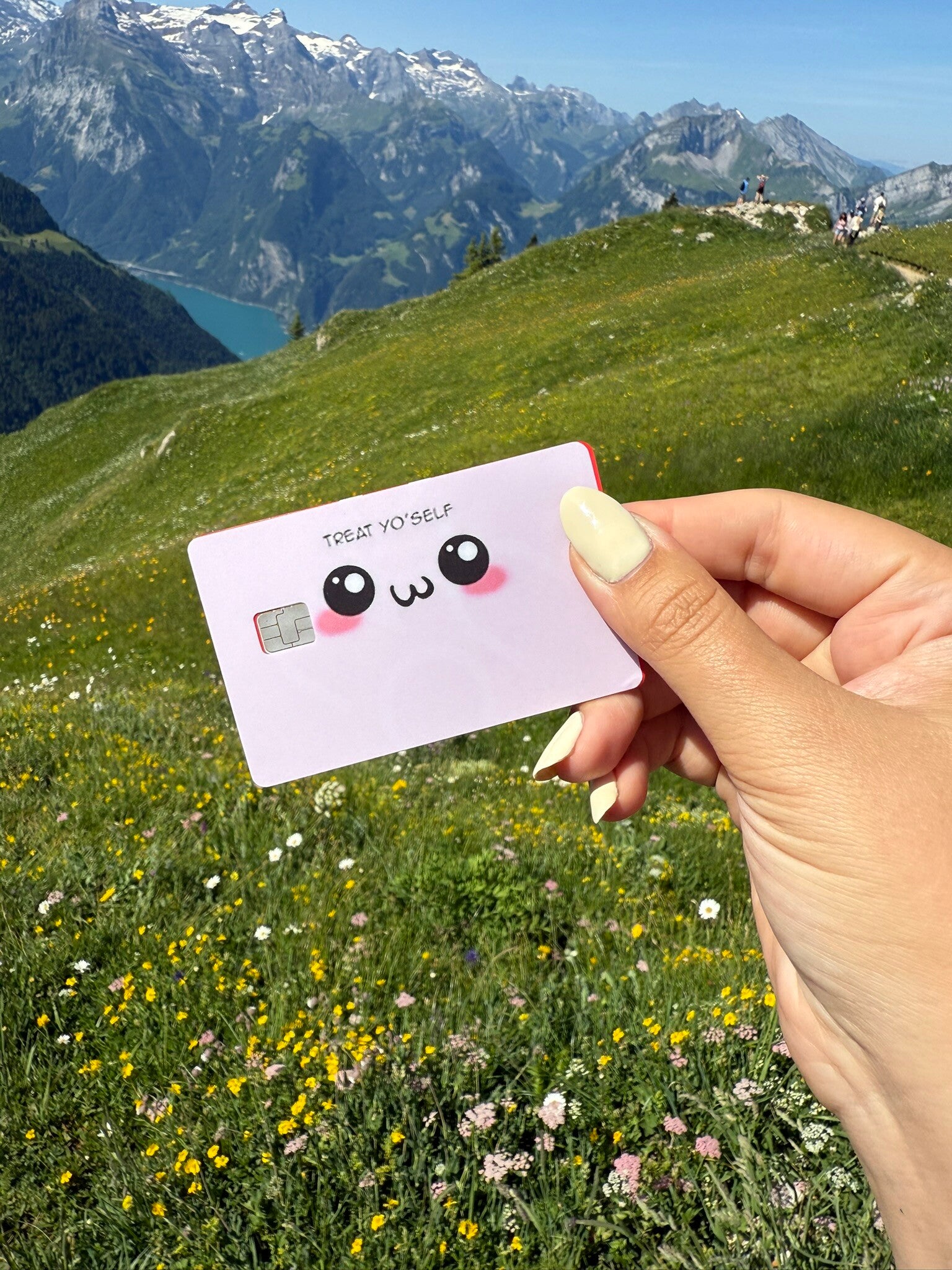 new 2 “ Kreditkartenhülle – Die Boss-Katze regelt das! 💳