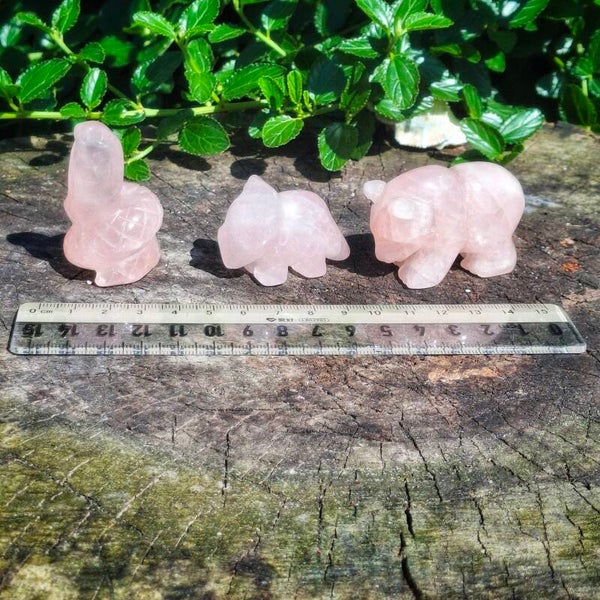 Rozenkwarts dieren