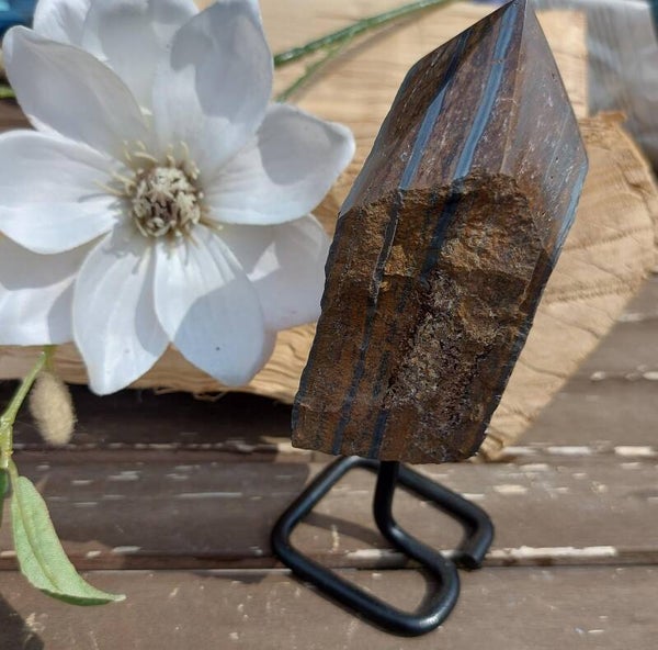 Tijgerijzer punt op standaard