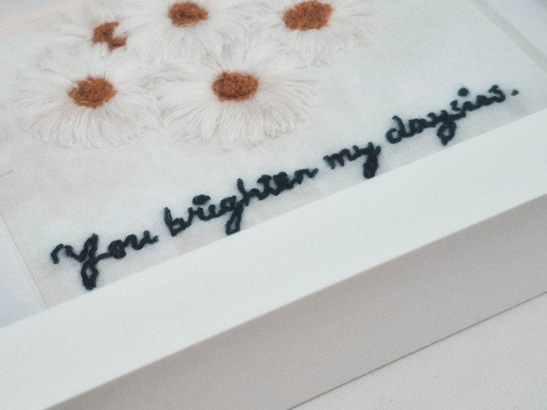 You Brighten My Daysies Stitch & Stitch