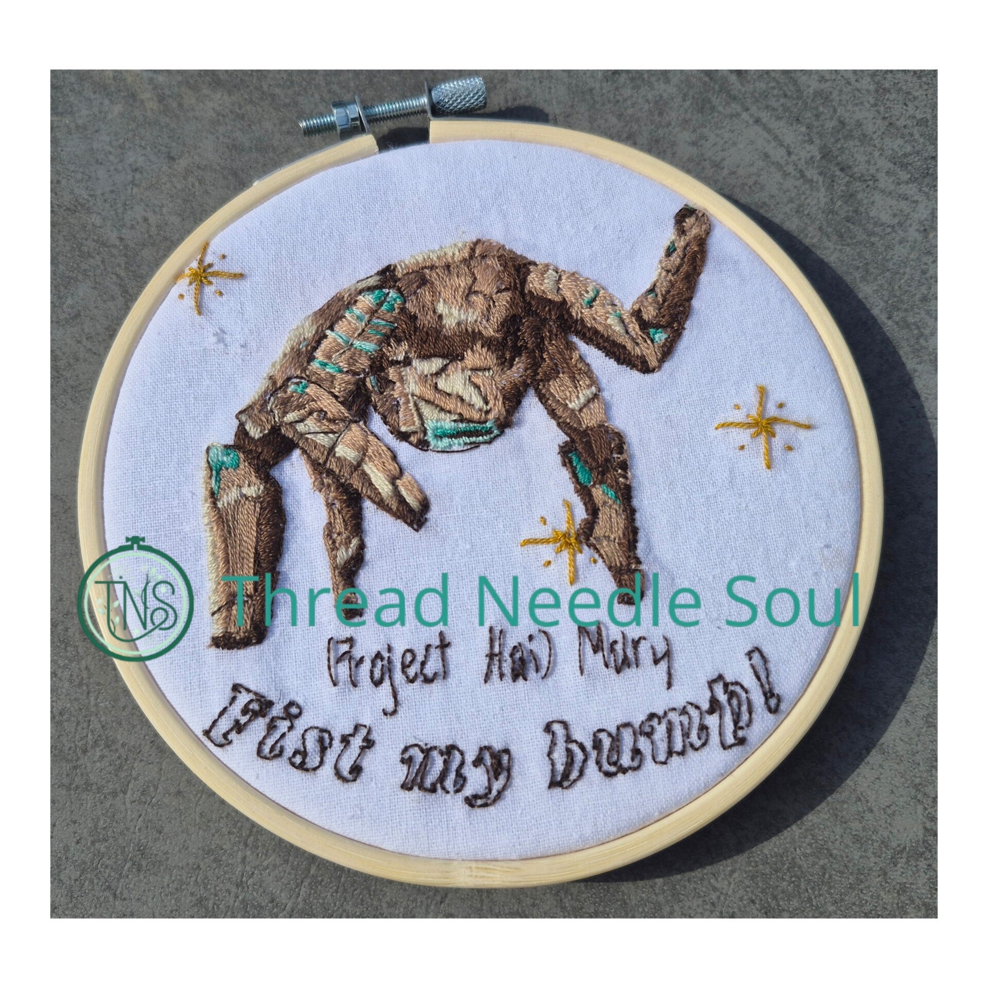 Rocky Embroidery Kit