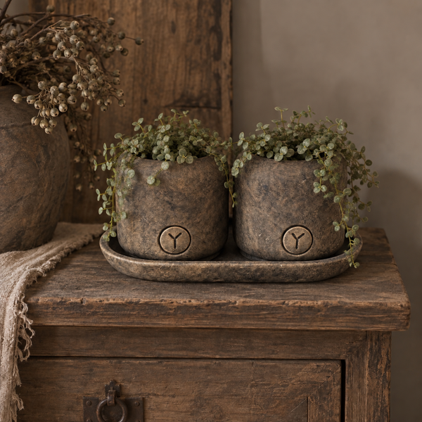 Brynxz set of 2 planter on a plate - Majestic brown