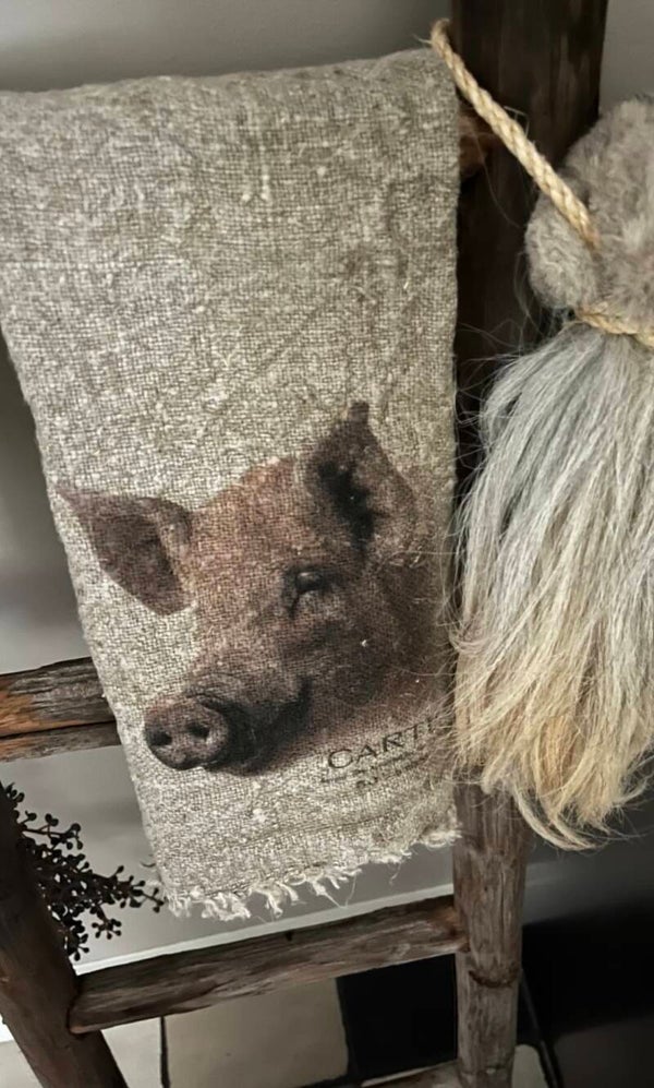 Shabby doek 30x45cm zwijn