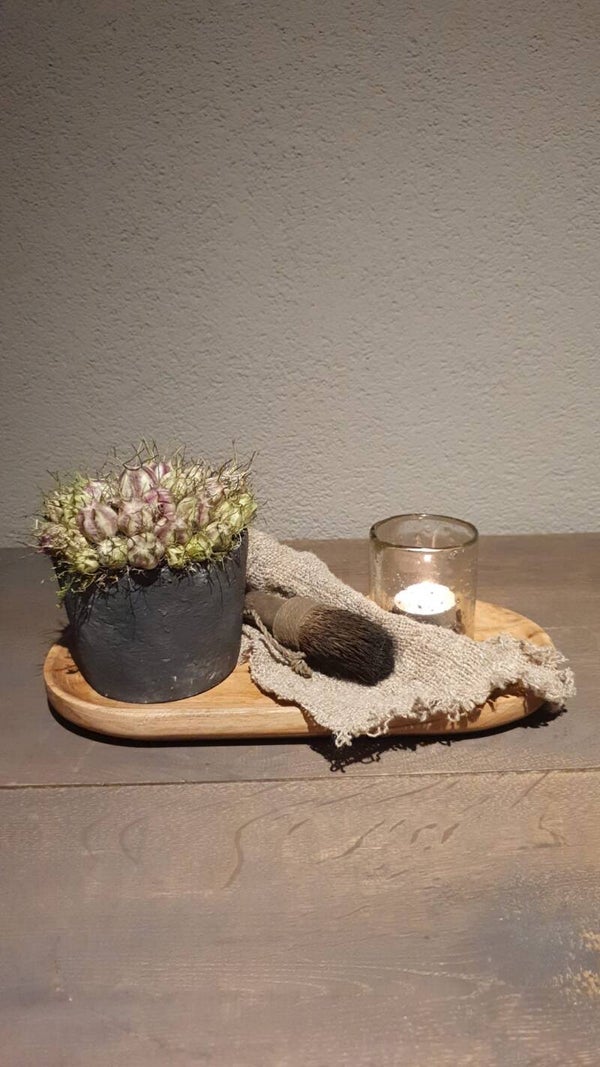 Potje in sober grijs 10cm opgemaakt met verse Nigella