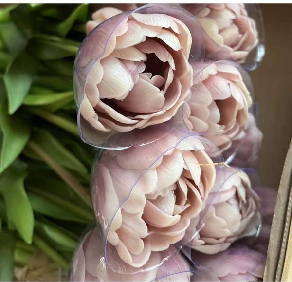 Tulpen, dubbel, 7 stelen, 44cm - mauve