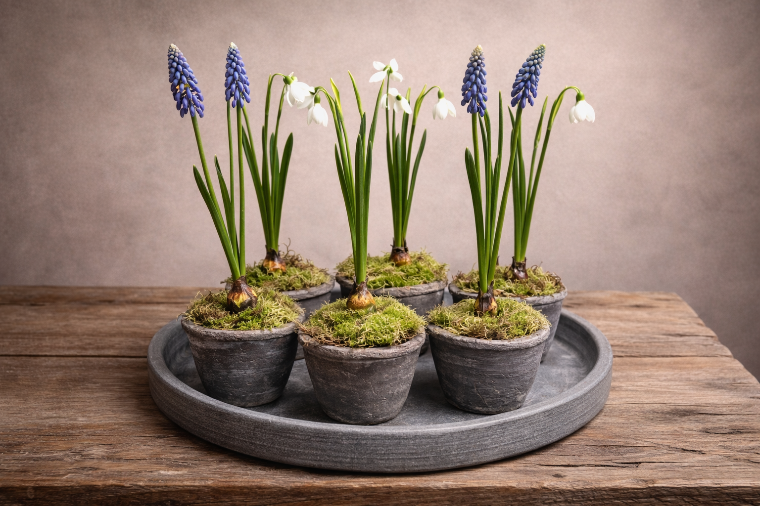 Potje opgemaakt met mos en kunst blauwe druifjes op bol