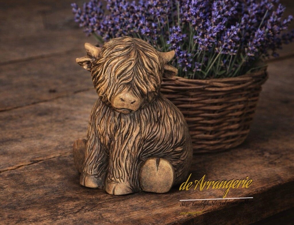 BRYNXZ zittende hooglander cute | Maj Brown