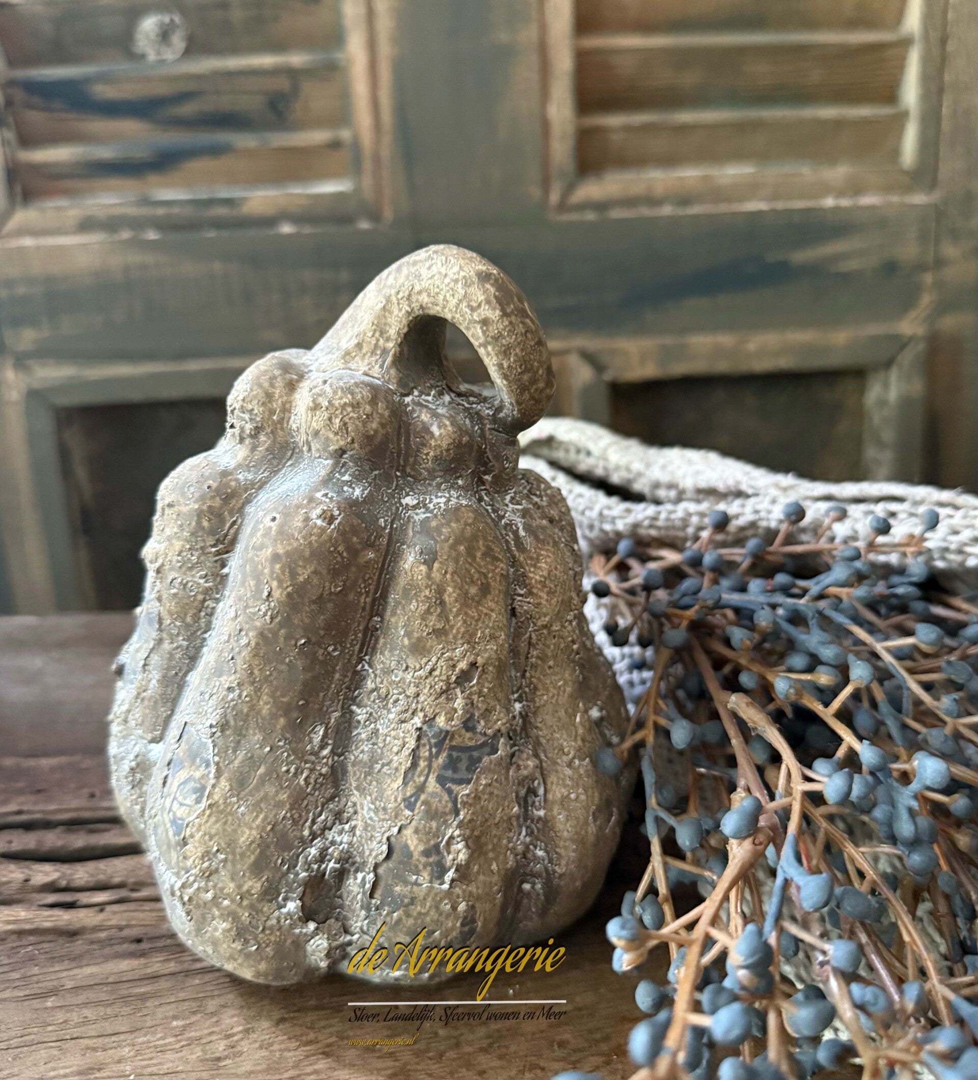 SUZO kalebas / pompoen Henry