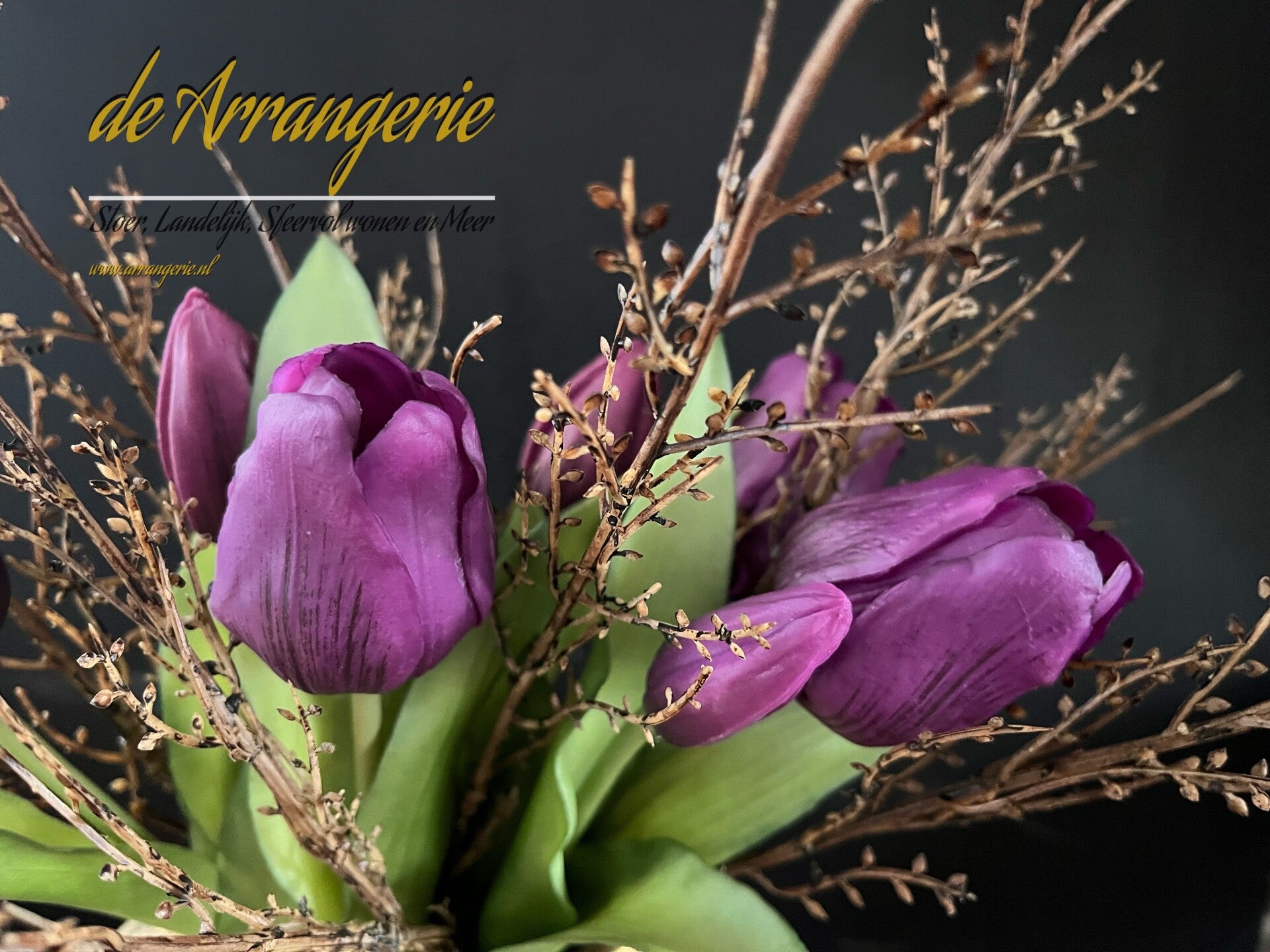 Tulpen, 7 stelen, 30cm - paars