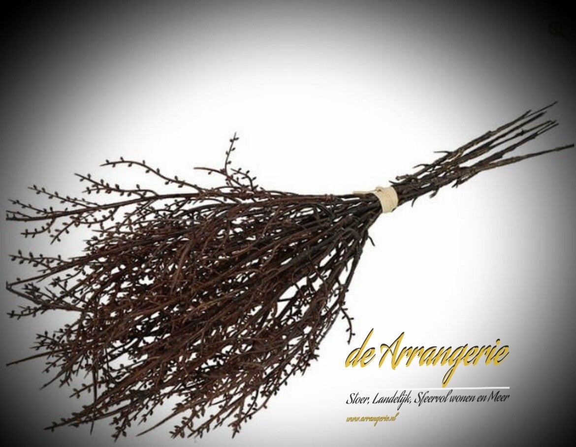 Bosje gagel 6 takjes (kunst)