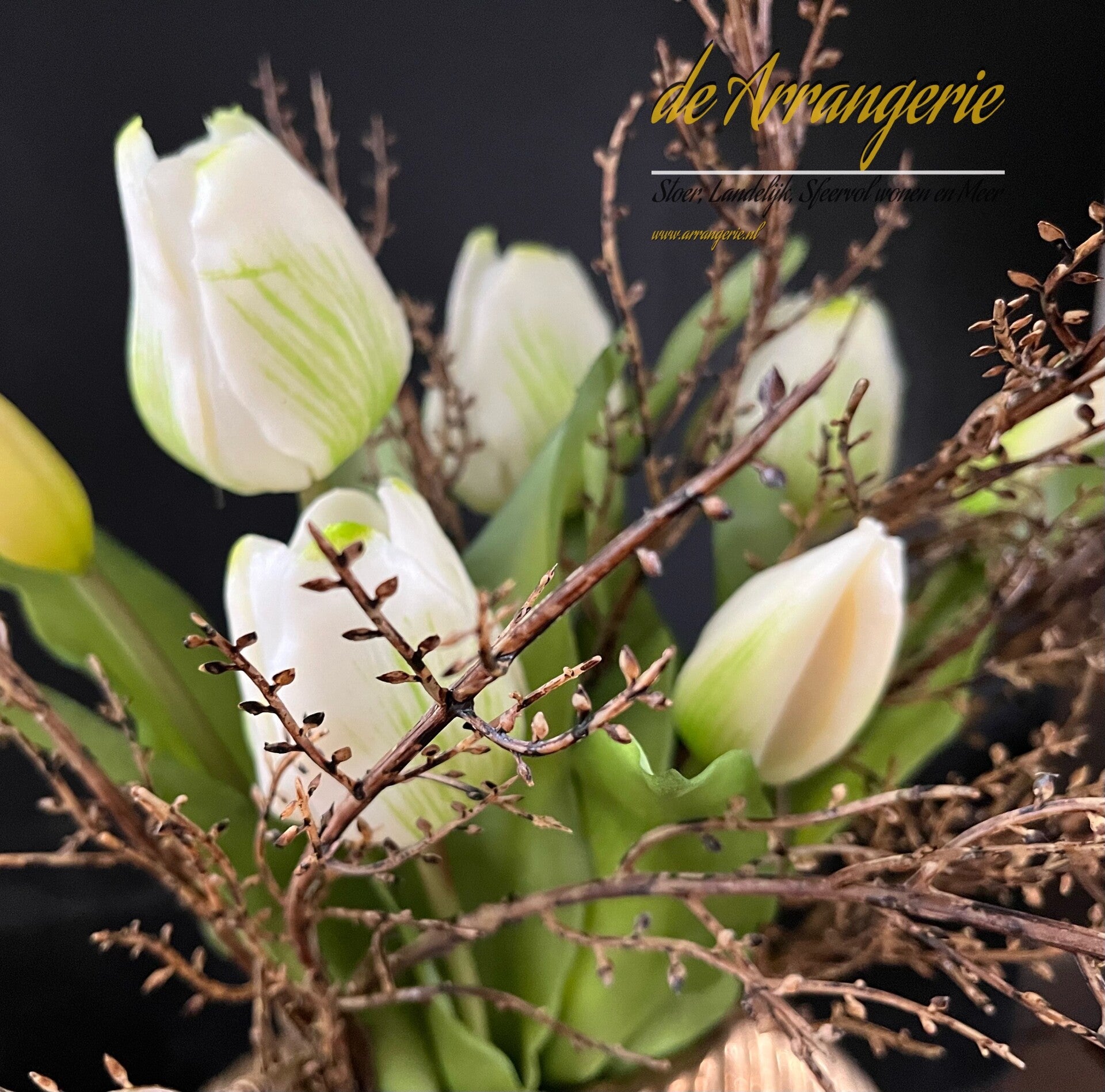 Tulpen, 7 stelen, 30cm - wit