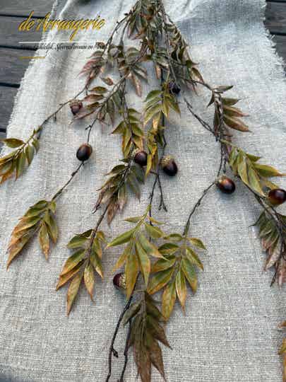 Lange herfsttak met eikeltjes